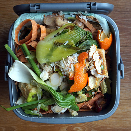 Food waste FAQs Inner West Council